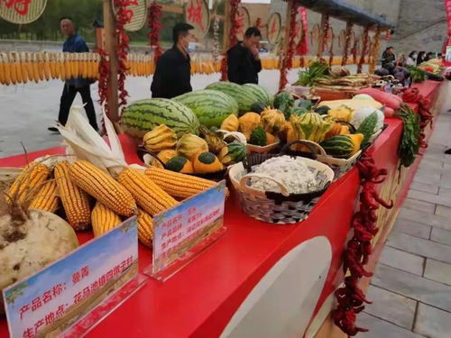 吳忠市曹泥洼村豐收節(jié) 休閑農(nóng)業(yè)精品線路推介與農(nóng)民歡慶共繪鄉(xiāng)村振興新畫卷